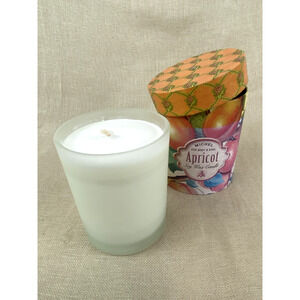 Michel Design Works Soy Wax Jar Candle 6 Oz Apricot